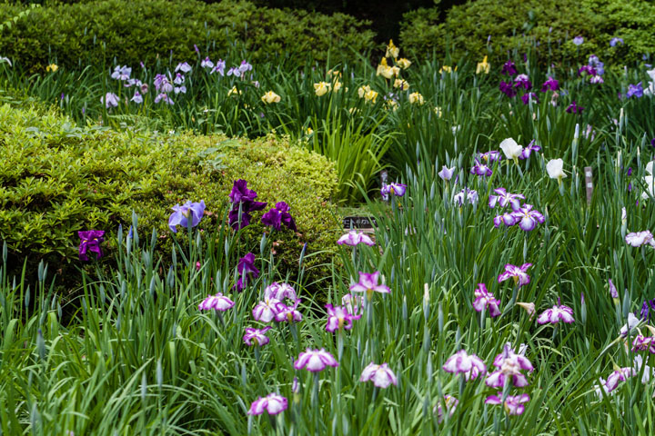 20140609_5341.jpg