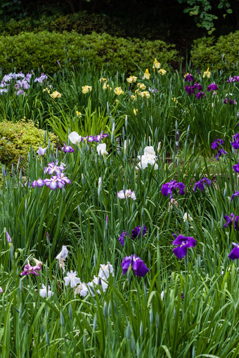 20140609_5343.jpg