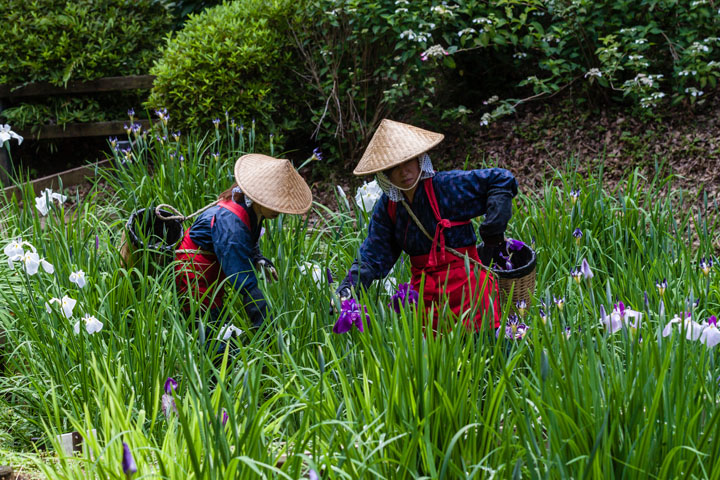 20140609_5364.jpg