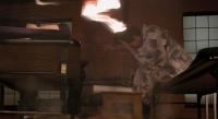 Ectoplasm