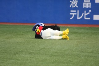 image1.jpeg