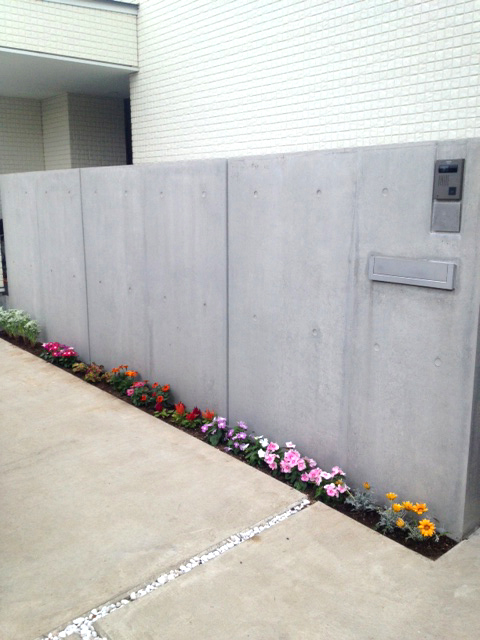 image1.jpeg.jpg