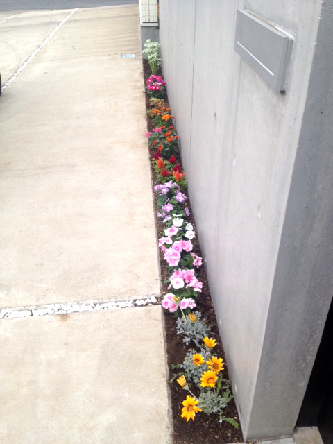 image2.jpeg.jpg