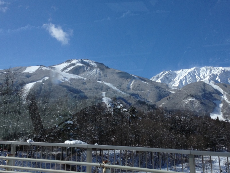 IMG_8635.jpg