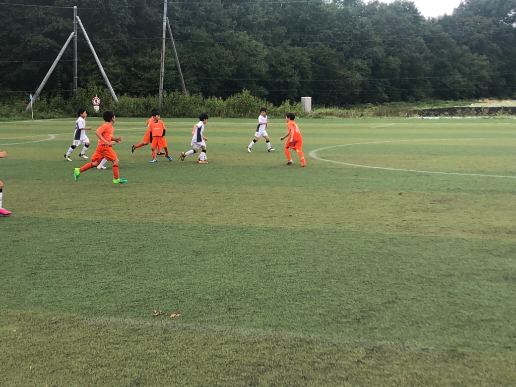 20180908_1885367.jpg