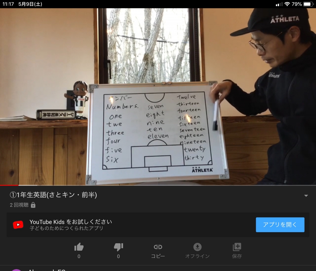falkovideo 