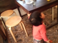 見上げるまめ太郎