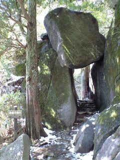 090403_1123~0001.jpg