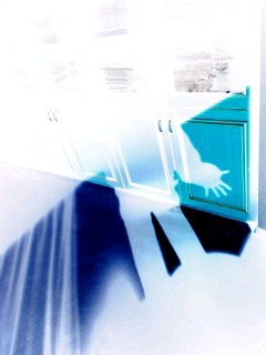 100127_1458~0001-0001.jpg