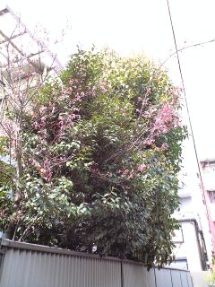 100403_1225~0001.jpg