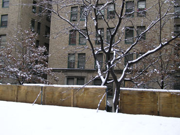 雪国2
