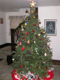 クリスマスツリー