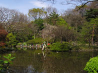 公園へ