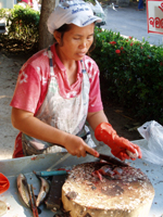 魚