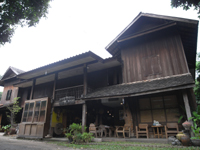 Tree House