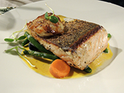 salmon