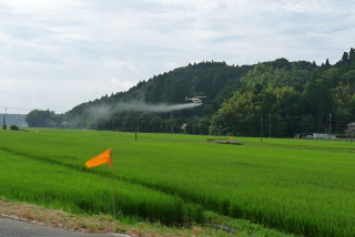 空散