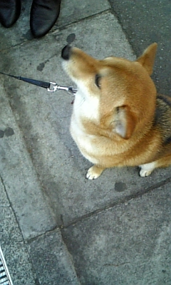 090320_174203.jpg