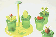 ALESSI