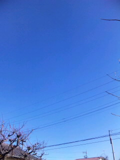 SH3E0633.jpg