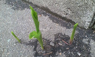 ¤Éº¬À¥¹¥º¥é¥ó£²£°£°£·