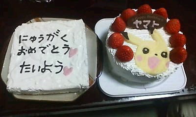 20100408184236.jpg