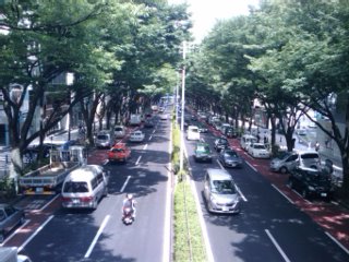 IMAGE_512.jpg