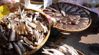 996 Ampawa Aji