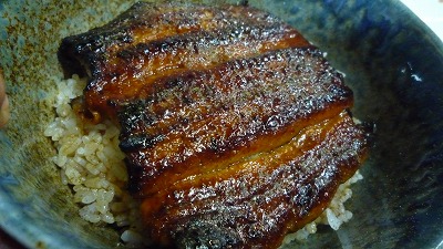 1025 おつかれさん 鰻丼