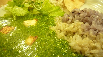 1026 GoVindas ほうれん草カレー