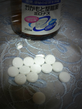 わかもと2