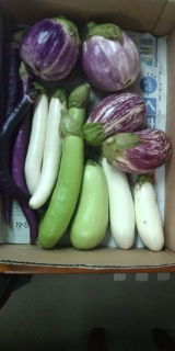 20110901083516.jpg