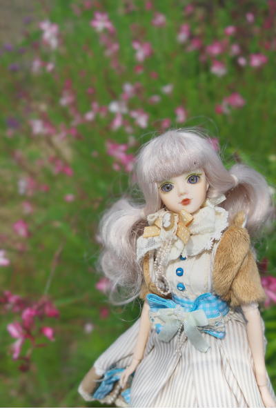 J-Doll ST SAUVEUR（サンソヴェール） | 瞳に四角い鰯雲
