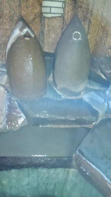 ÆâÅòÃíÆþ¸ý
