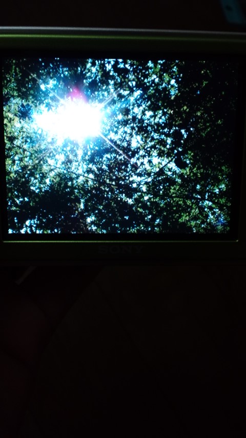 120802_0144~02.jpg