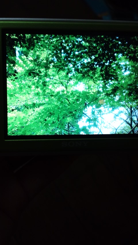 120802_0145~01.jpg