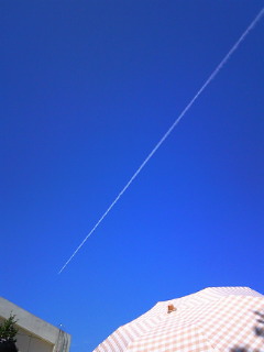 201109101044000.jpg