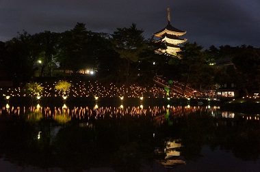 なら燈花会