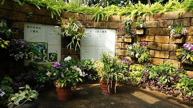 宇治市植物公園