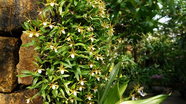 宇治市植物公園