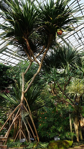 宇治市植物公園