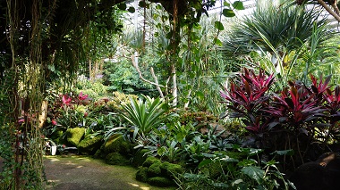 宇治市植物公園