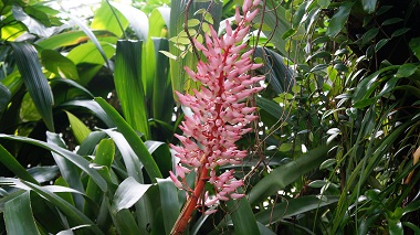 宇治市植物公園