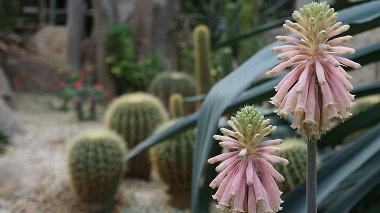 宇治市植物公園