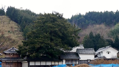 南山城村野殿