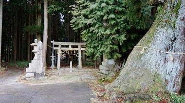 南山城村野殿
