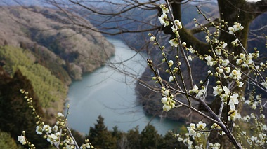 奈良県奈良市月ヶ瀬尾山