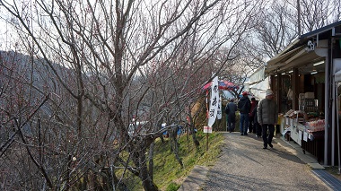 奈良県奈良市月ヶ瀬尾山