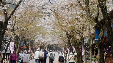 谷汲山華厳寺