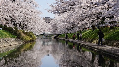富山松川
